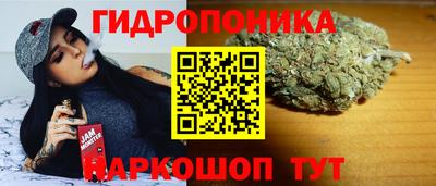прущие крисы Жуковский