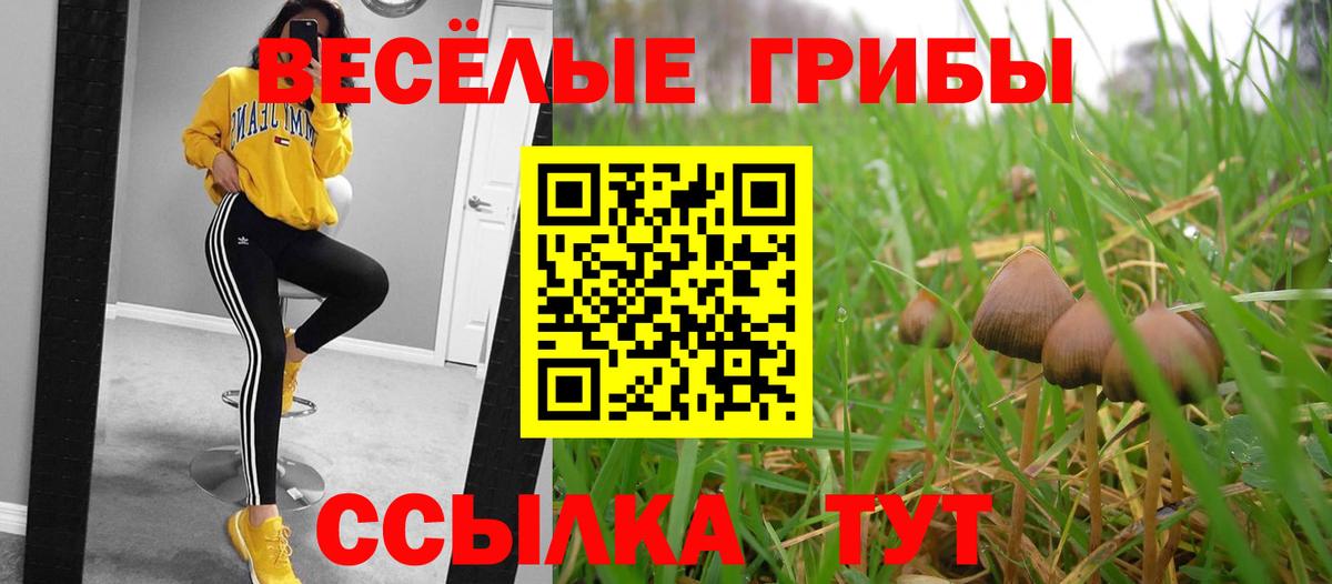 Галлюциногенные грибы прущие грибы  Галлюциногенные грибы Psilocybine cubensis  Вход с VPN  Мурино 