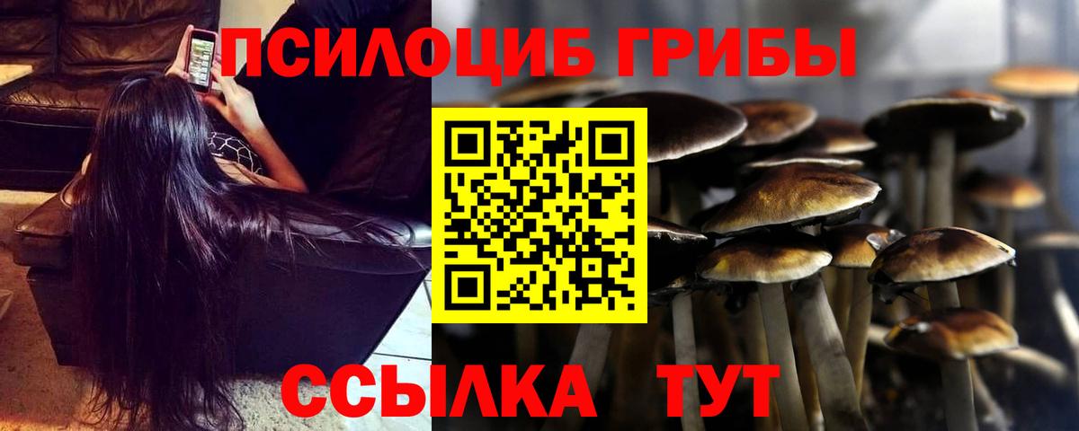 Псилоцибиновые грибы Psilocybe Мурино